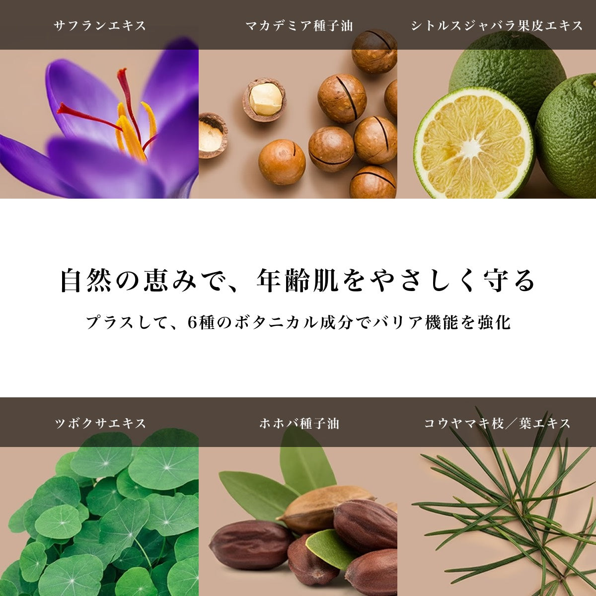 MOTOKO フィットファンデーション