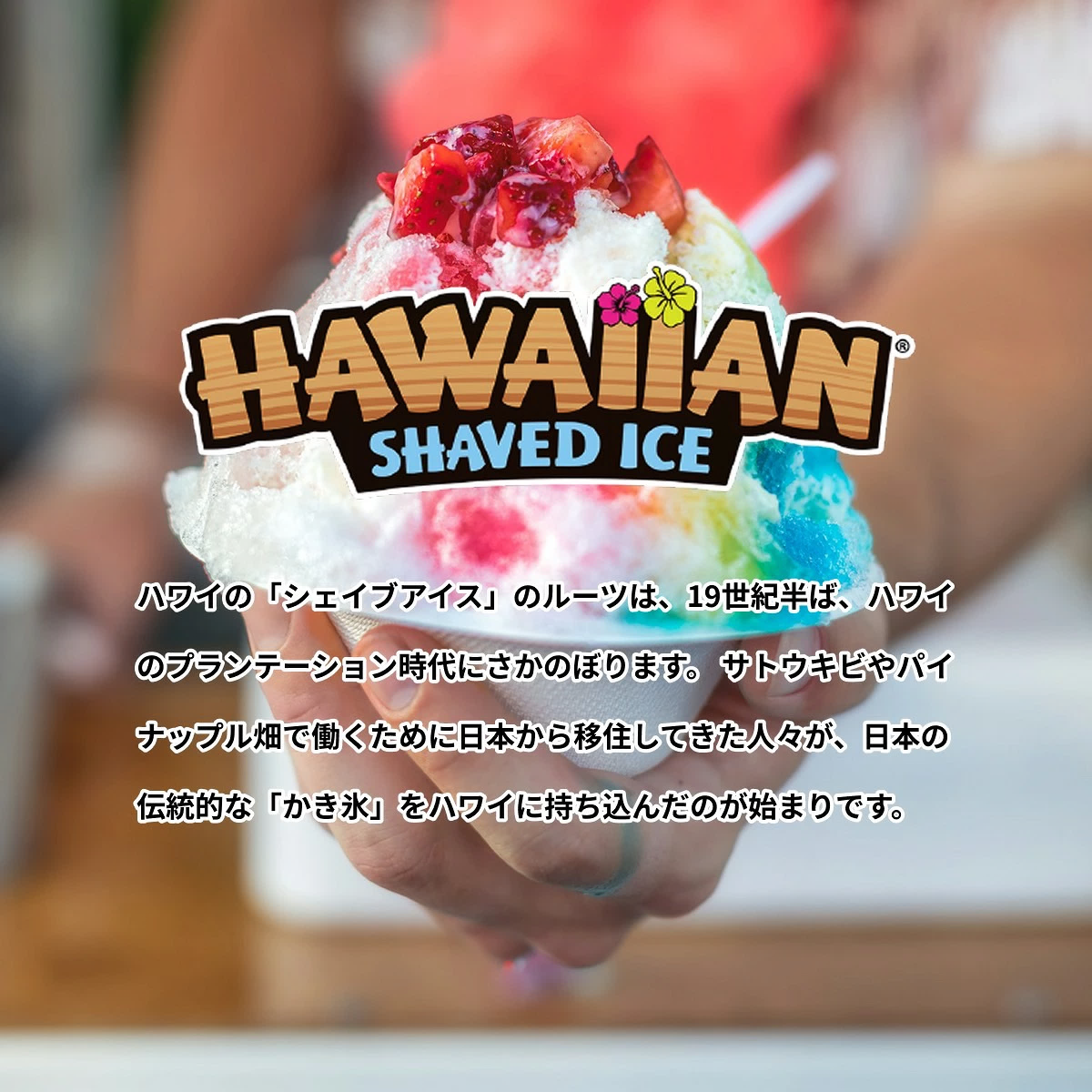 Hawaiian Shaved Ice （ハワイアン シェイブアイス）
